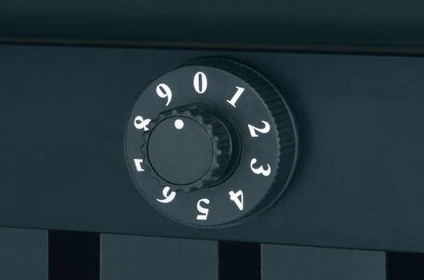 �ȈՏ��i�_�C�������j