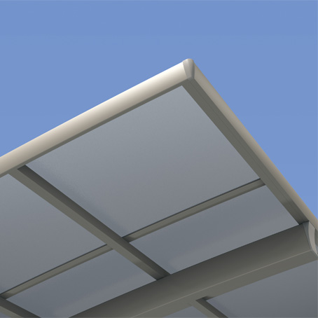 �V���o�[�|���J�[�{�l�[�g�� �}�b�g�V���o�[�iSSP�j