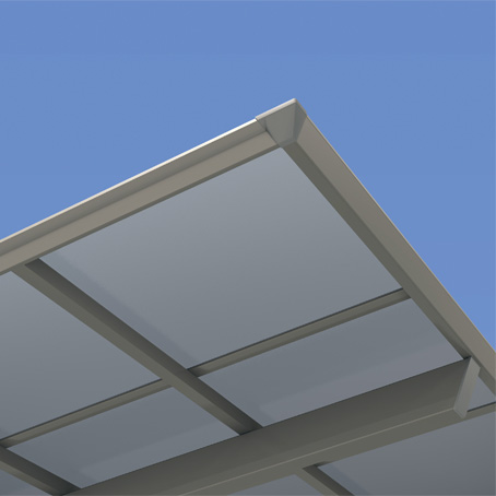 �V���o�[�|���J�[�{�l�[�g�� �}�b�g�V���o�[�iSSP�j