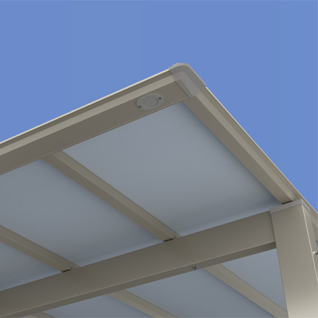 �V���o�[�|���J�[�{�l�[�g�� �}�b�g�V���o�[�iSSP�j