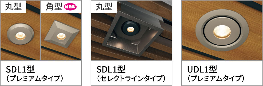屋根下取り付けダウンライト:ミラリア(DC12V・24V)