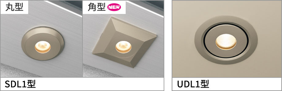 �_�E�����C�g�F�~�����A�iDC12V�E24V�j