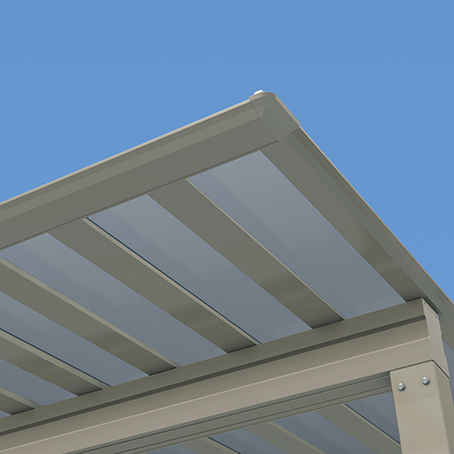 �V���o�[�|���J�[�{�l�[�g�� �}�b�g�V���o�[�iSSP�j