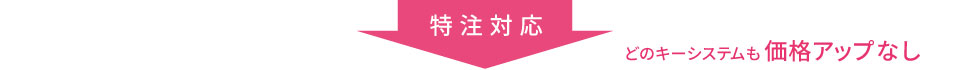 ���a���b�N�� �L�[�V�X�e���Ή�
