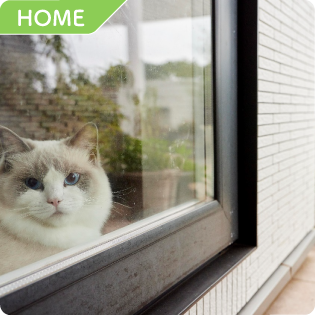HOME