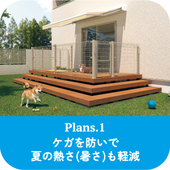 Plans.1 PKhŉĂ̔M()y