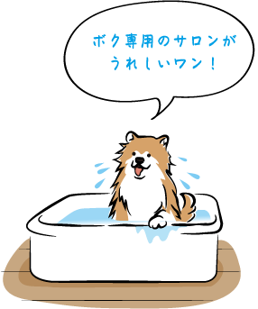 {Np̃TꂵI