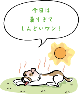 ͏ĂǂI