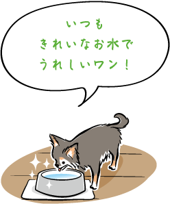 ꂢȂłꂵI