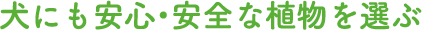 ɂSESȐAI