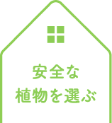 SȐAI
