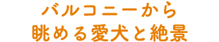 oRj[璭߂鈤Ɛi