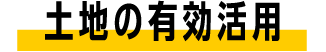 yn̗Lp