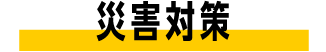ЊQ΍