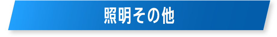 Ɩ̑