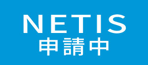NETIS\