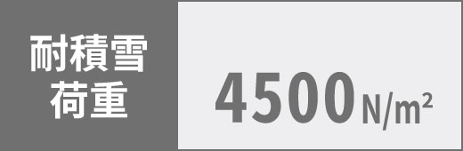 �ϐϐ�׏d 4500N/㎡