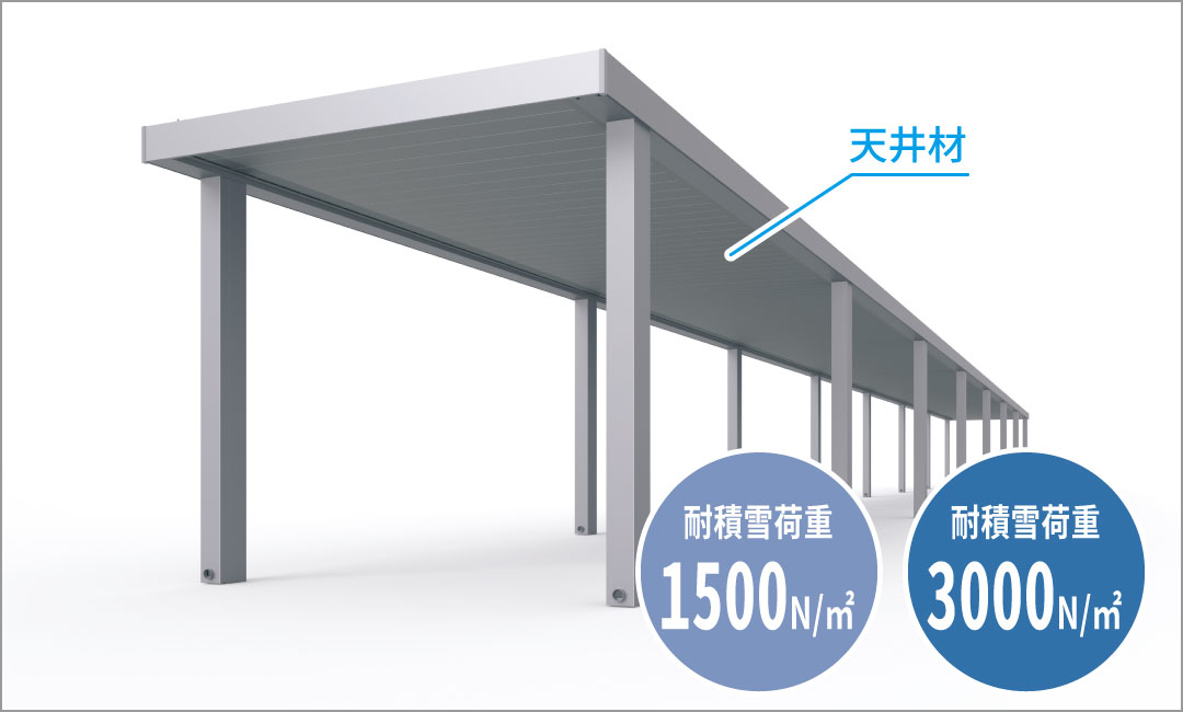 �v���~�A���^�C�v�i�V��ޕt���j