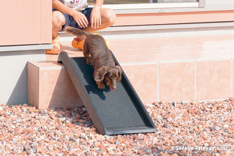 犬と笑う庭づくり 実例紹介① 愛犬3匹と子ども3人がのびのび駆けまわる